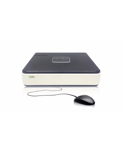 BestNVR-400. IP-видеосервер 4-канальный. BestDVR в Тамбове