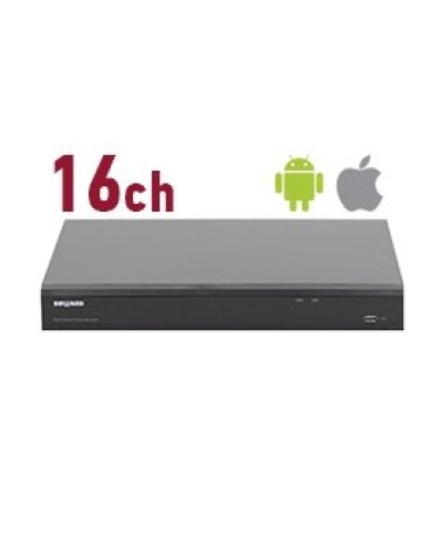 RK2216. Видеорегистратор IP 16-канальный. Beward в Тамбове