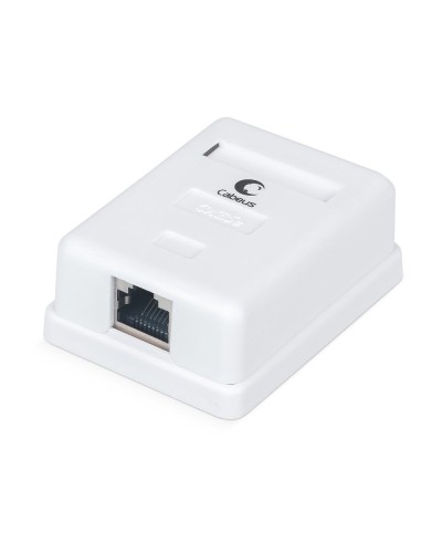 WS-8P8C-Cat.5e-SH-1 (7485c): Розетка RJ-45 в Тамбове