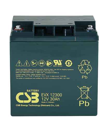 CSB EVX 12300. Аккумулятор герметичный свинцово-кислотный. CSB в Тамбове