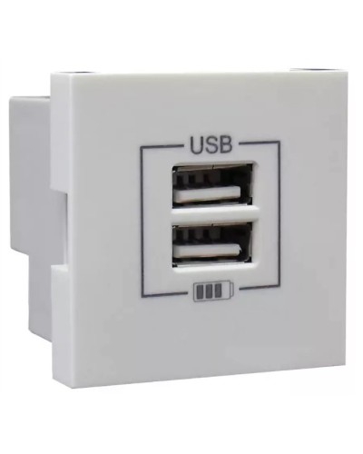 Розетка USB двойная, зарядная, белая (45439 SBR): Розетка USB двойная в Тамбове