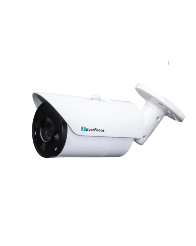 EZN-268V. Видеокамера IP купольная. EverFocus в Тамбове