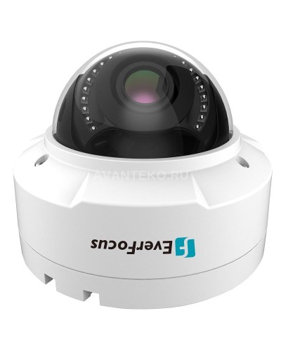 EHN-1250. Видеокамера IP купольная. EverFocus в Тамбове