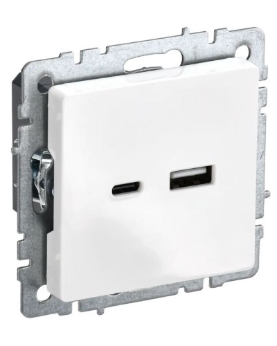 Розетка USB A+C 18Вт РЮ11-1-БрБ белый BRITE (BR-U22-018-K01). Розетка USB. IEK в Тамбове