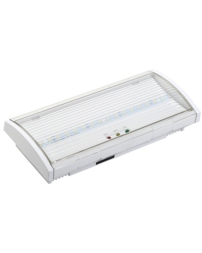 Светильник аварийный ДПА 5040-1 1ч IP54 LIGHTING (LDPA0-5040-1H-K01). Светильник аварийный постоянного действия. IEK в Тамбове