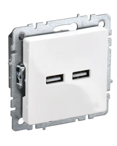 Розетка USB A+A 3,1А РЮ10-1-БрБ белый BRITE (BR-U21-D31-K01). Розетка USB. IEK в Тамбове