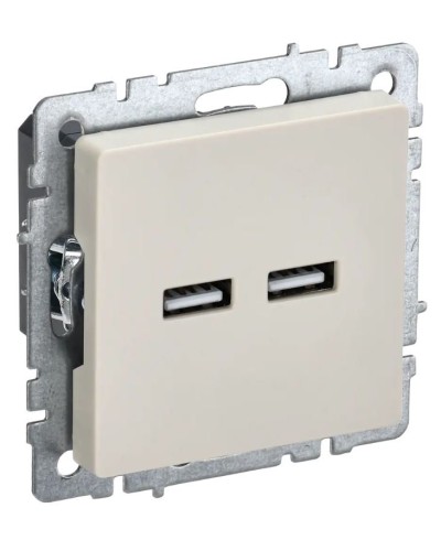 Розетка USB A+A 3,1А РЮ10-1-БрКр бежевый BRITE (BR-U21-D31-K10). Розетка USB. IEK в Тамбове