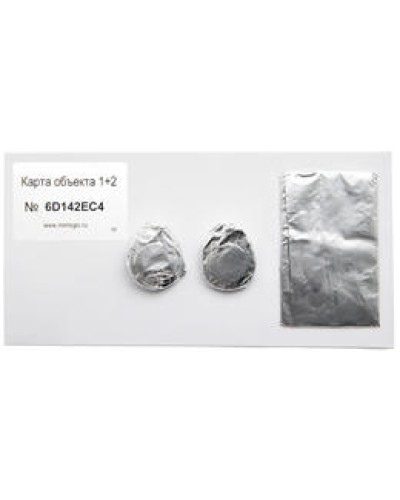 Карта объекта 1+2. Проксимити карта. IronLogic в Тамбове