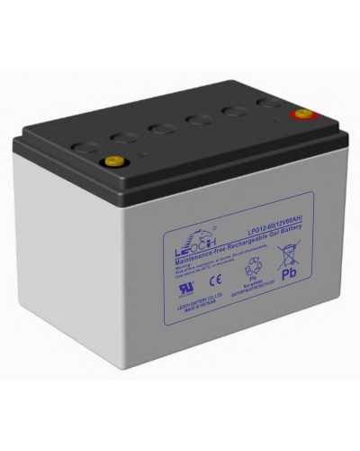 LEOCH LPG 12-60. Аккумулятор герметичный свинцово-кислотный. LEOCH в Тамбове