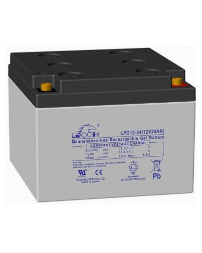 LEOCH LPG 12-24. Аккумулятор герметичный свинцово-кислотный. LEOCH в Тамбове
