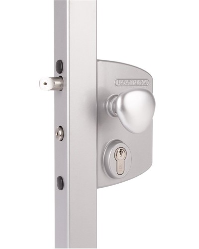 LIKQ4040 U2L (цвет: RAL 9005, черный). Замок электромеханический для калиток. Locinox в Тамбове