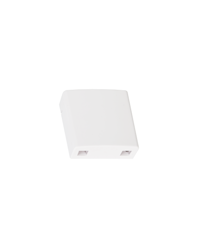 NMF-WO2-BLANK-CS-WT. Корпус настенной розетки. NIKOMAX в Тамбове