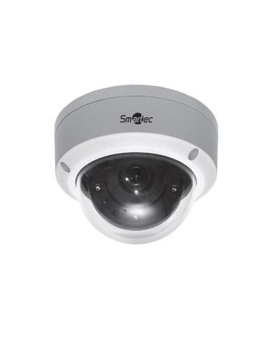STC-IPMA5520A/1. Видеокамера IP купольная. Smartec в Тамбове