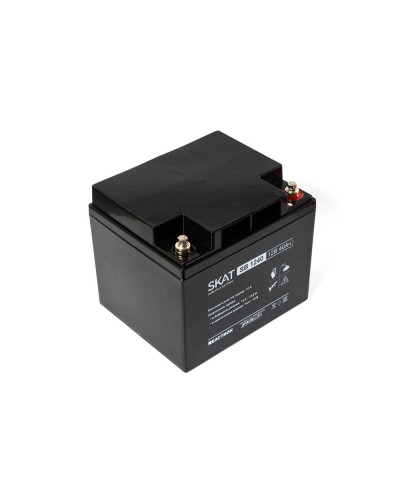 SKAT SB 1240 (2538). Аккумулятор герметичный свинцово-кислотный. Бастион в Тамбове