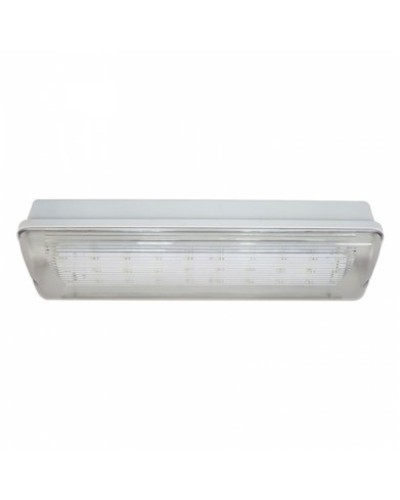 SL-223-30LED1.8 исп.1 IP54. Светильник аварийного освещения. ИП Раченков А.В. в Тамбове