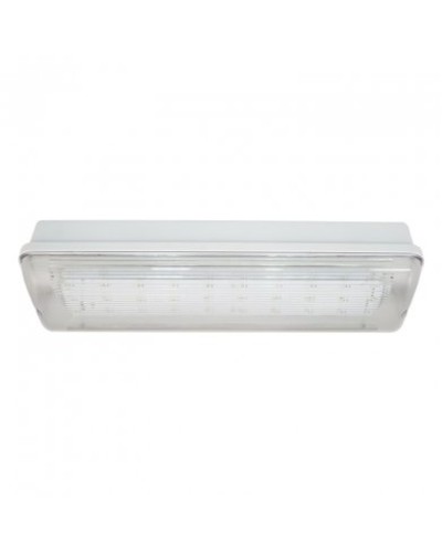SL-223-30LED1.8 исп. 1, IP65. Светильник аварийного освещения. ИП Раченков А.В. в Тамбове