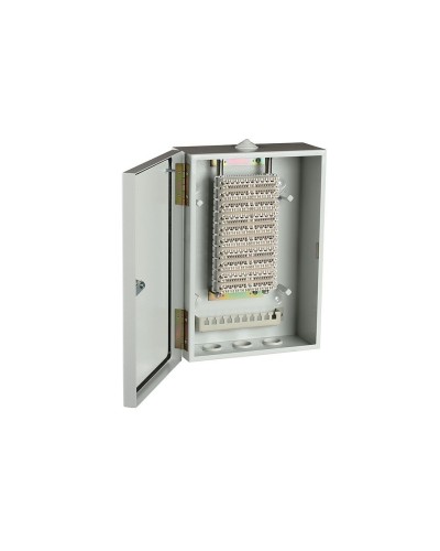 ШРН-В/100-Р (120908-00122). Шкаф ШРН-В/100-Р, плинт ПВТ-10Р-5е. ССД (Связьстройдеталь) в Тамбове